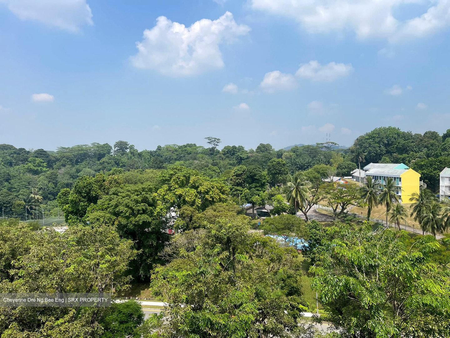 Pandan Valley (D21), Condominium #558088461